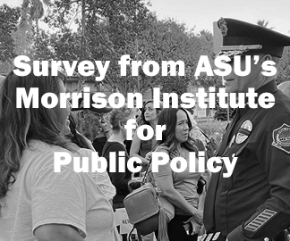 MorrisonSurvey